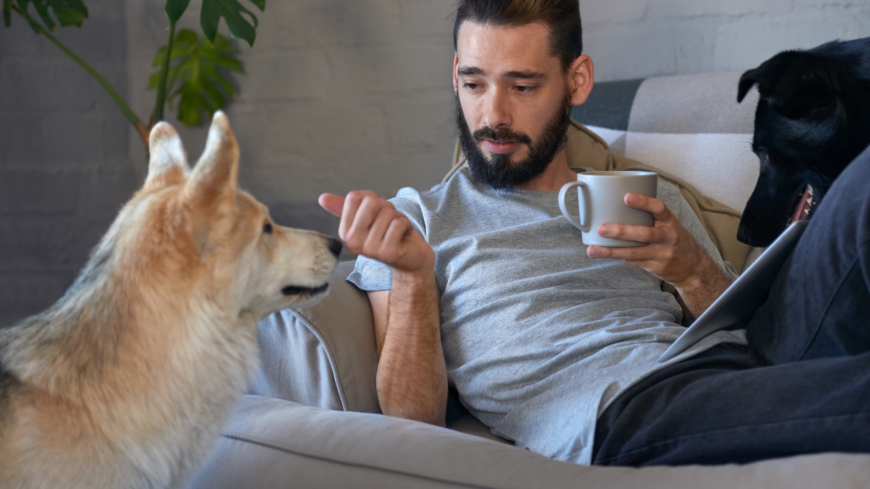 Studien visar att det finns ett specifikt område i hundens hjärna som är dedikerat till att förstå oss människor. Foto: Shutterstock